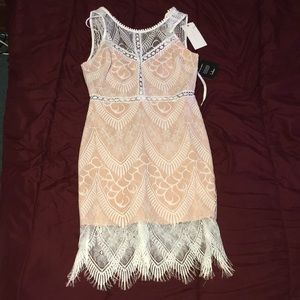 LUSH Serious Love Lace Bodycon Dress